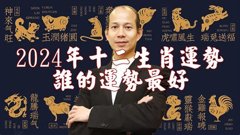 屬龍 幸運色|十二生肖「幸運數字、幸運顏色、大吉方位」！跟著做。